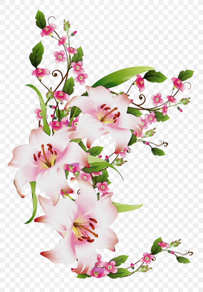 Flower Flowering Plant Plant Cut Flowers Pink, PNG, 891x1280px, Watercolor, Blossom, Bouquet, Branch, Cut Flowers Download Free