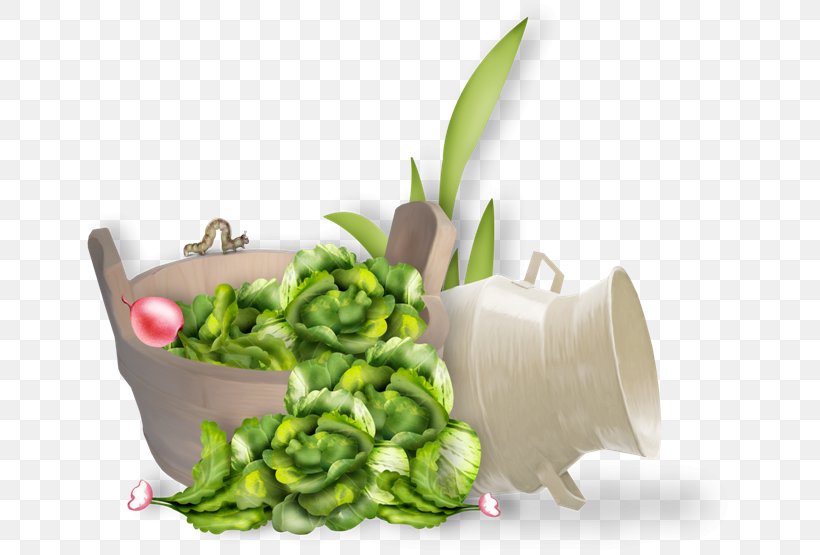 Leaf Vegetable Food, PNG, 650x555px, Leaf Vegetable, Brassica Oleracea, Cauliflower, Diet Food, Flowerpot Download Free