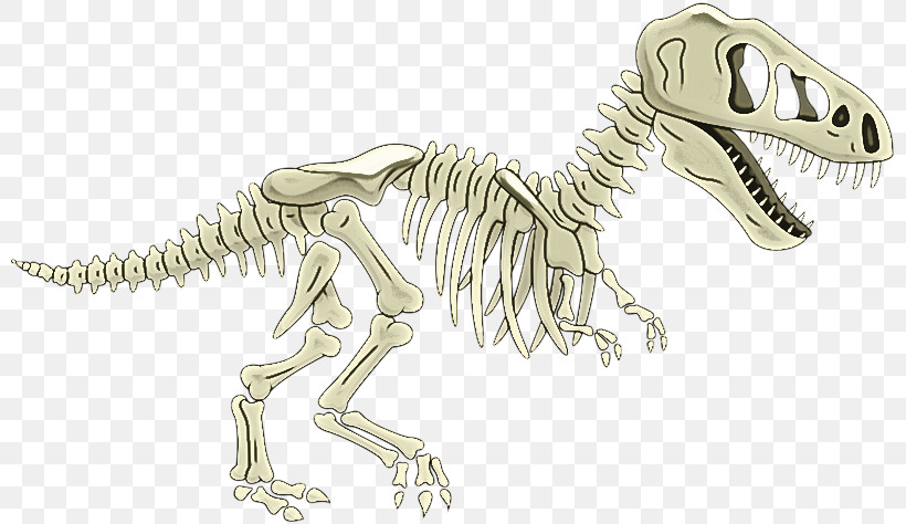 Tyrannosaurus Velociraptor Line Art Skeleton Meter, PNG, 800x474px, Tyrannosaurus, Animal Figurine, Biology, Line Art, Meter Download Free