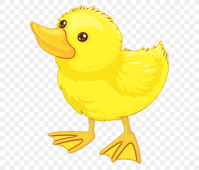 Yellow Bird Duck Beak Cartoon, PNG, 622x699px, Watercolor, Beak, Bird ...