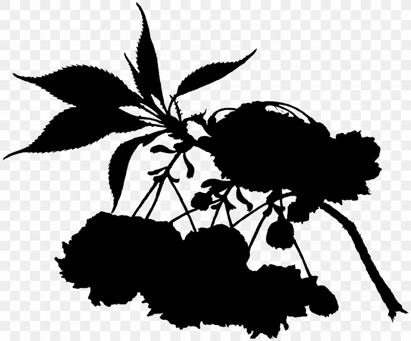 Black And White Flower, PNG, 2400x1993px, Branch, Black White M, Blackandwhite, Computer, Flower Download Free