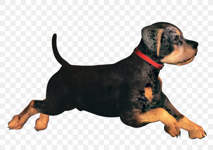 Cartoon Dog, PNG, 1598x1131px, German Pinscher, Black And Tan Terrier, Breed, Companion Dog, Dobermann Download Free