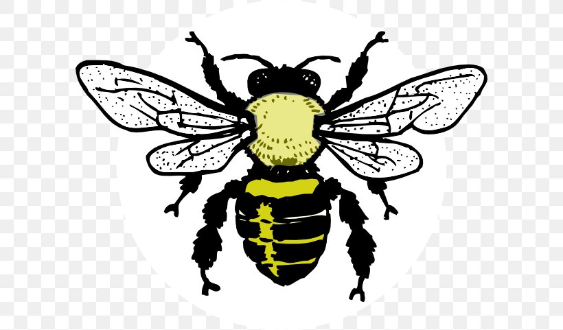 European Dark Bee Honey Bee Clip Art, PNG, 600x481px, Bee, Arthropod, Artwork, Beehive, Black And White Download Free
