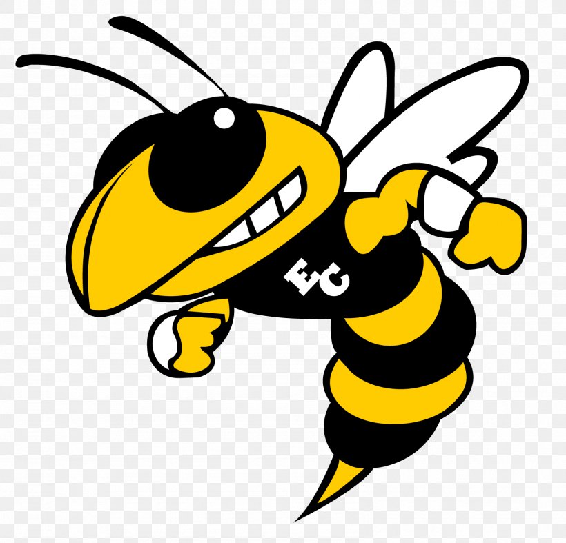 Hinsdale South High School Charlotte Hornets Sport High School Football Basketball, PNG, 1589x1526px, Hinsdale South High School, Artwork, Basketball, Bee, Black And White Download Free