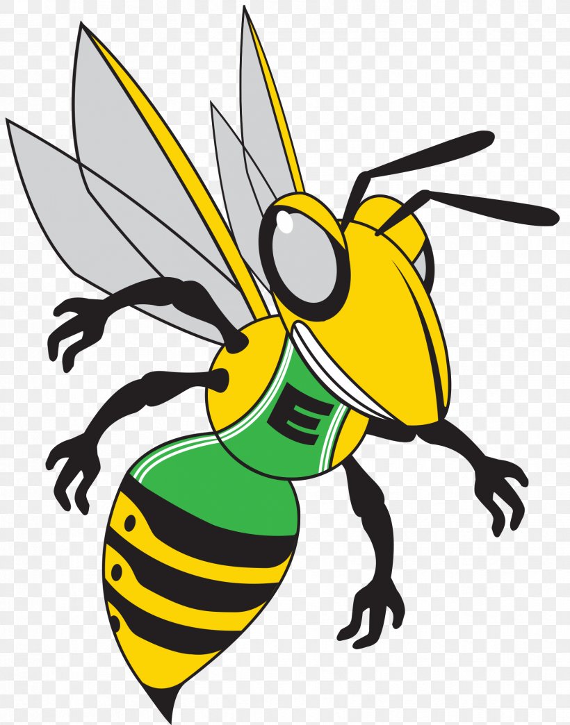 Honey Bee Hornet Organization Clip Art, PNG, 1659x2114px, Honey Bee, Artwork, Baldfaced Hornet, Bee, Color Download Free