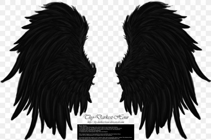 Wings Winged Cat Butterfly, PNG, 1024x681px, Wing, Beak, Black, Black And White, Black Hair Download Free