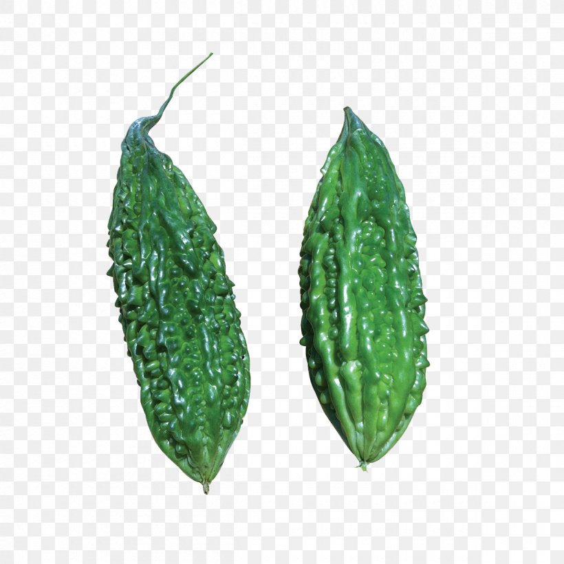 Bitter Melon F1 Hybrid Seed Green Leckat Corporation Sdn Bhd, PNG, 1200x1200px, Bitter Melon, Bitterness, Cucumber Gourd And Melon Family, Cucurbitaceae, Disease Download Free