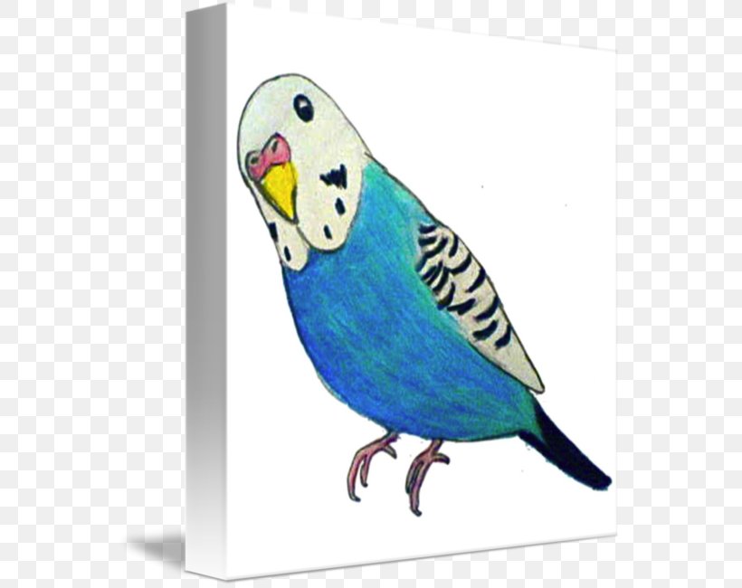 Budgerigar Parrot T-shirt Parakeet Drawing, PNG, 557x650px, Budgerigar, Aratinga, Bag, Beak, Bird Download Free
