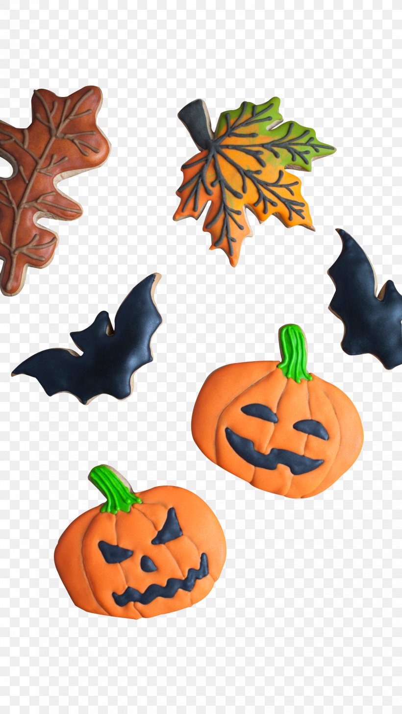 Calabaza Pumpkin Clip Art, PNG, 1440x2560px, Calabaza, Food, Fruit, Orange, Pumpkin Download Free
