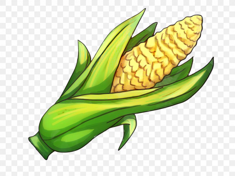 Candy Corn, PNG, 1599x1200px, Corn On The Cob, Anthurium, Candy Corn, Cartoon, Corn Download Free