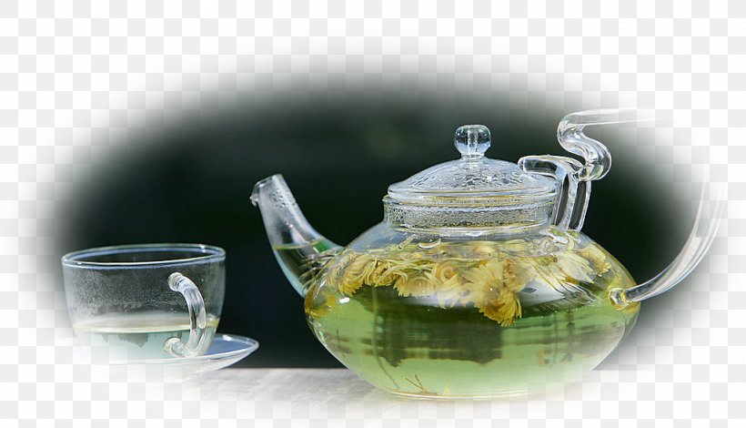 Chrysanthemum Tea Flowering Tea Xinyang Maojian Tea Drinking, PNG, 1024x588px, Chrysanthemum Tea, Alcoholic Drink, Chrysanthemum, Drink, Drinking Download Free
