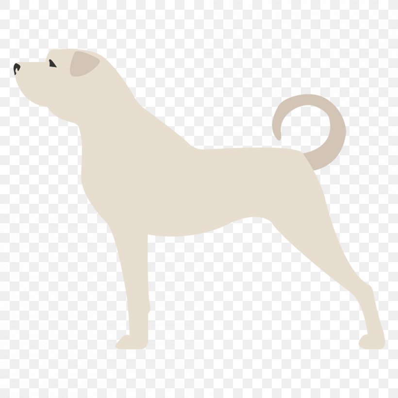 Dog Breed Puppy Non-sporting Group Breed Group (dog), PNG, 1000x1000px, Dog Breed, Breed, Breed Group Dog, Carnivoran, Dog Download Free