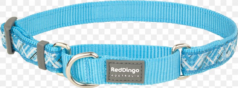 Dog Collar Dingo Dog Collar Martingale, PNG, 3000x1120px, Dog, Aqua, Azure, Blue, Clothing Accessories Download Free
