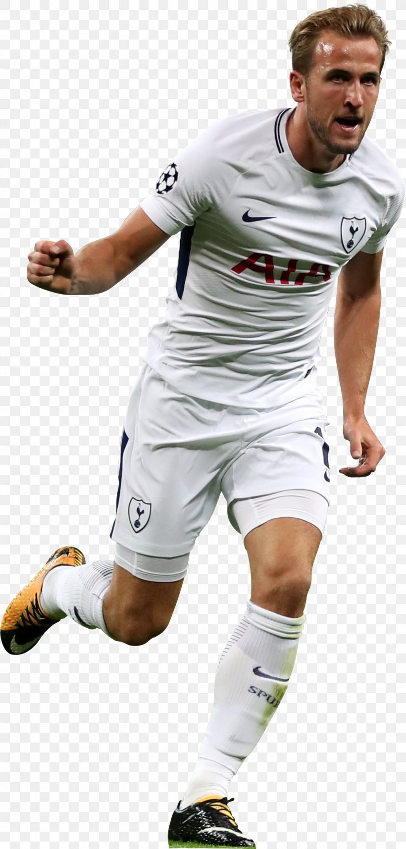 Harry Kane Tottenham Hotspur F.C. Premier League Liverpool F.C. Manchester City F.C., PNG, 1007x2107px, Harry Kane, Association Football Manager, Ball, Christian Eriksen, Clothing Download Free