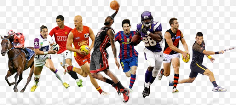 Professional Sports Dyscyplina Sportu Football Athlete, PNG, 1440x642px, Sport, Athlete, Ball, Baseball, Coach Download Free