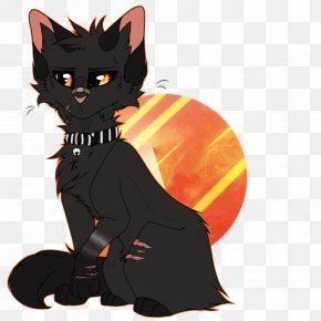 Kitten - Black Cat Kitten Whiskers Domestic Short-haired Cat PNG