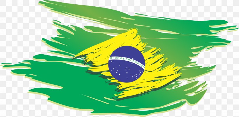 Flag Of Brazil Flag Of The United States, PNG, 1600x787px, Brazil, Flag, Flag Of Argentina, Flag Of Brazil, Flag Of Canada Download Free