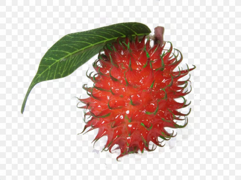 Rambutan Thai Cuisine Strawberry, PNG, 4000x3000px, Rambutan, Editing, Food, Fruit, Image File Formats Download Free