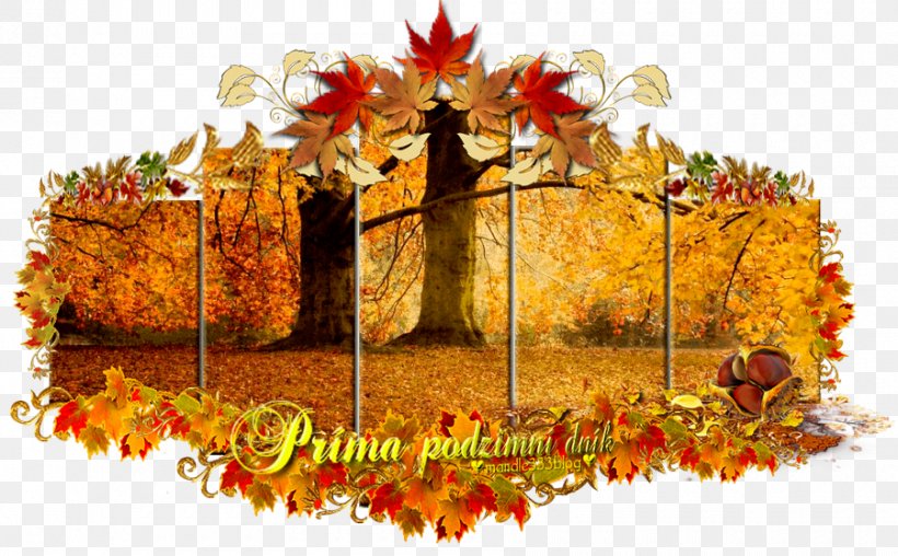 Maple Leaf Autumn Fototapet, PNG, 900x558px, Maple Leaf, Autumn, Floral Design, Fototapet, Leaf Download Free