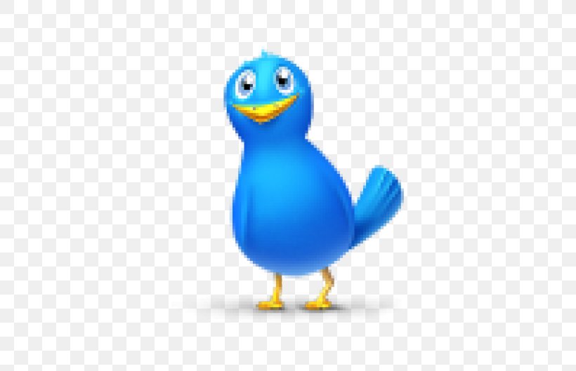 Social Media Favicon Emoticon, PNG, 529x529px, Social Media, Beak, Bird, Ducks Geese And Swans, Emoticon Download Free