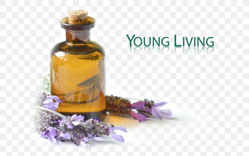 Essential Oil Health Cure Lavender Oil, PNG, 778x514px, Essential Oil, Cure, Flower, Frankincense, Glass Bottle Download Free