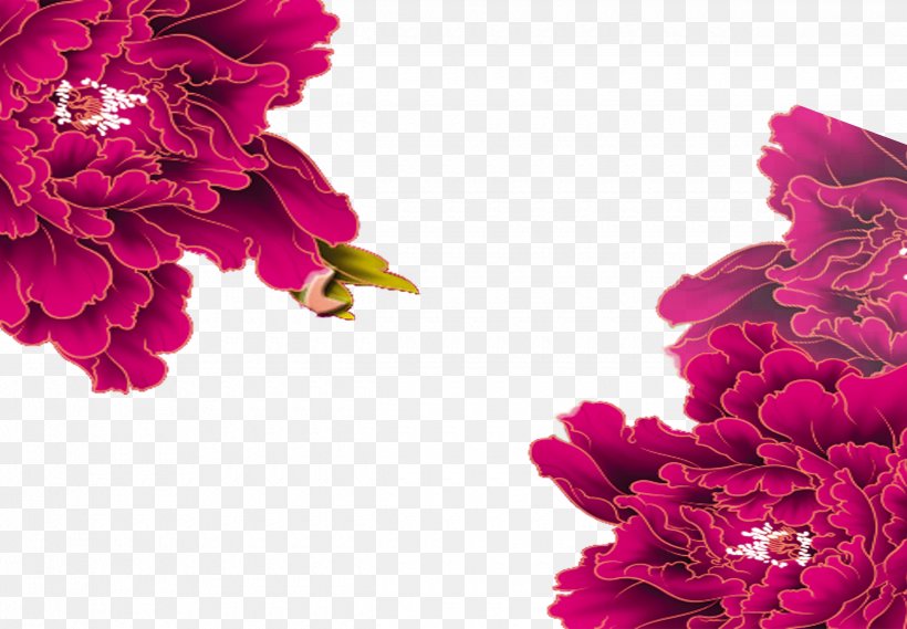 Peony Purple, PNG, 2480x1721px, Peony, Color, Cut Flowers, Dahlia, Designer Download Free
