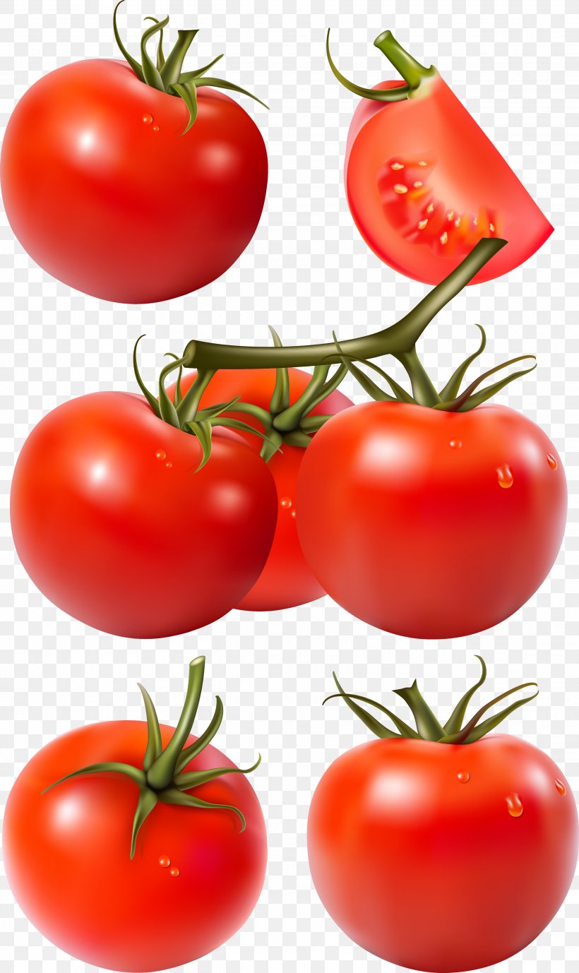 Tomato Tomatillo, PNG, 2633x4427px, Tomato, Bush Tomato, Diet Food, Food, Fruit Download Free