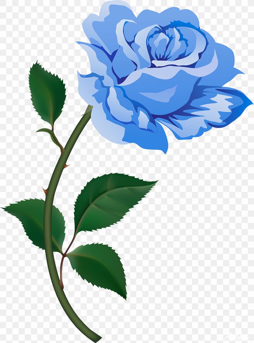 Desktop Wallpaper Flower Clip Art, PNG, 888x1200px, Flower, Blue Rose, Branch, Cabbage Rose, Cut Flowers Download Free