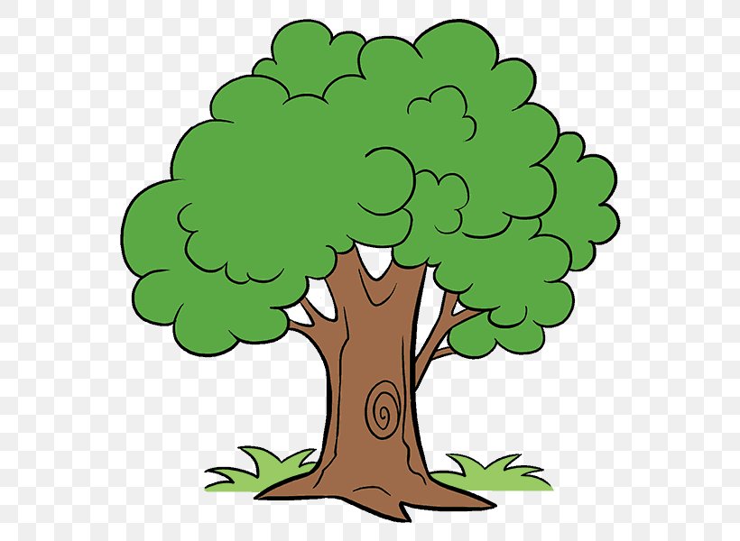 Drawing Cartoon Tree Clip Art, PNG, 678x600px, Drawing, Cartoon, Figure ...