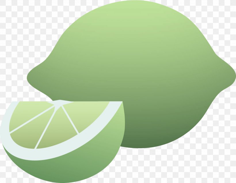 Green Leaf Lime Fruit Plant, PNG, 3000x2335px, Green, Citrus, Fruit, Leaf, Lime Download Free