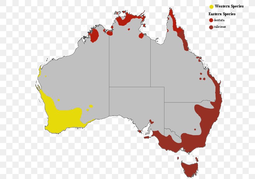 Indigenous Australians South Australia Queensland Sydney Western Australia, PNG, 800x576px, 2017, Indigenous Australians, Area, Australia, Ecoregion Download Free