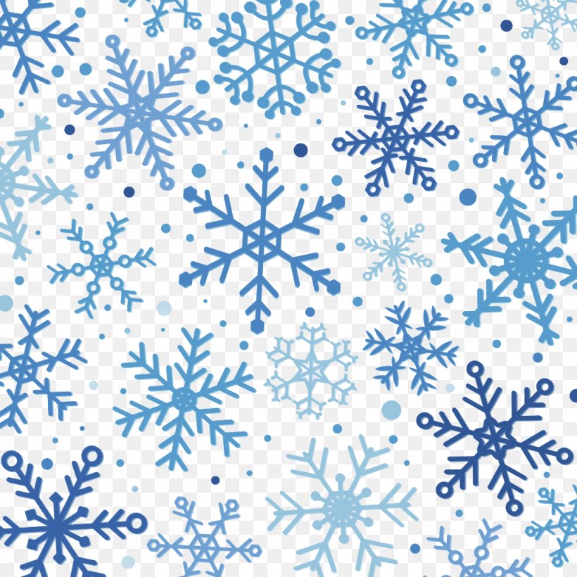 Snowflake Winter Pattern, PNG, 1024x1024px, Snowflake, Area, Black And White, Blue, Flower Download Free
