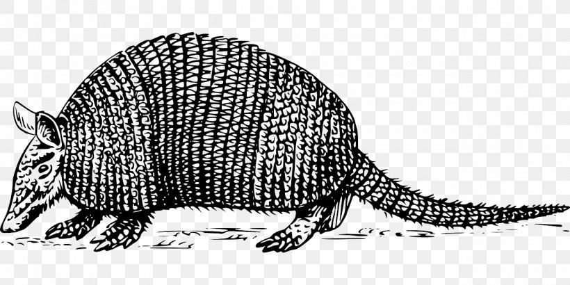 Armadillo Clip Art, PNG, 1280x640px, Armadillo, Animal, Animal Figure, Beaver, Black And White Download Free
