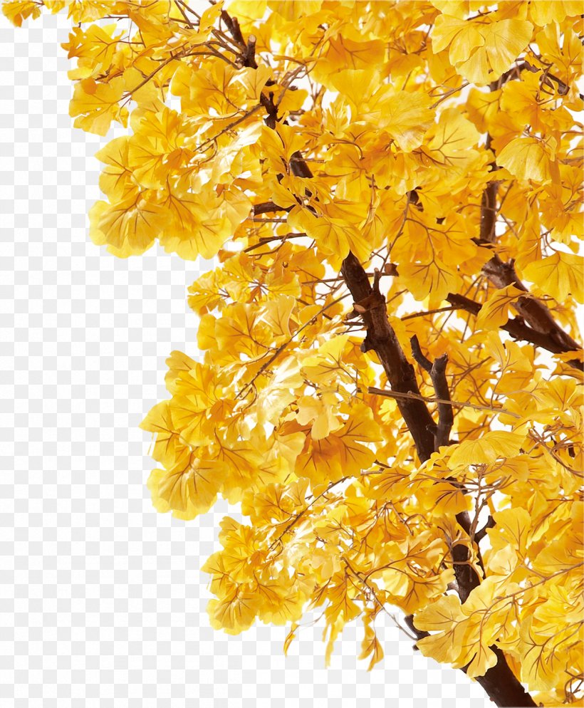Autumn Yellow Leaf Deciduous Poster, PNG, 1253x1520px, Autumn, Blue, Branch, Deciduous, Food Download Free