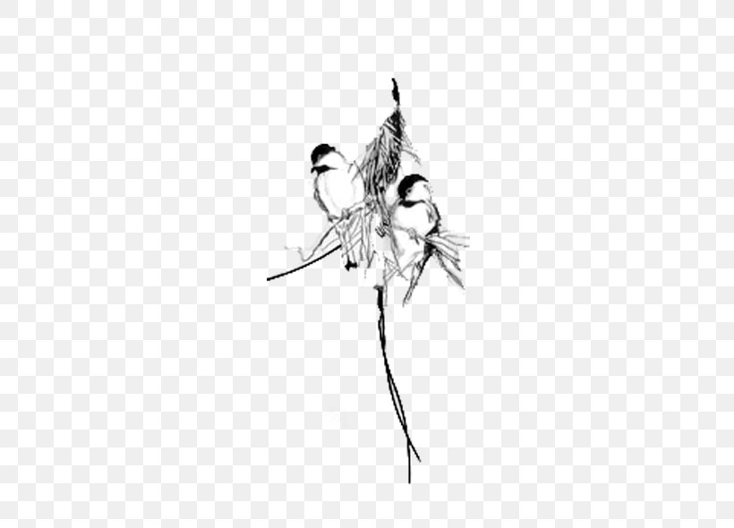 Bird Flight Black And White Eurasian Tree Sparrow, PNG, 600x590px, Bird, Animal, Black, Black And White, Butterfly Download Free