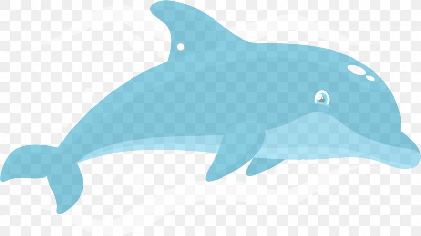 Common Bottlenose Dolphin Tucuxi Short-beaked Common Dolphin Rough-toothed Dolphin Wholphin, PNG, 1427x801px, Common Bottlenose Dolphin, Aqua, Azure, Biology, Blue Download Free