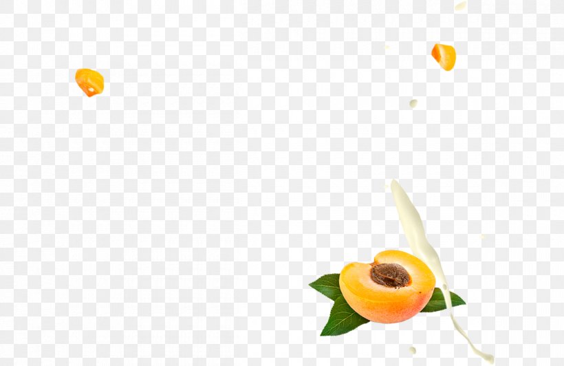 Food Yoghurt Fruit Snack, PNG, 1200x779px, Food, Apricot, Blueberry, Flora, Flower Download Free