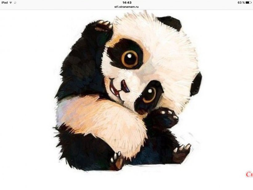 Giant Panda Bear Cuteness Drawing Red Panda, PNG, 2048x1536px, Watercolor, Cartoon, Flower, Frame, Heart Download Free