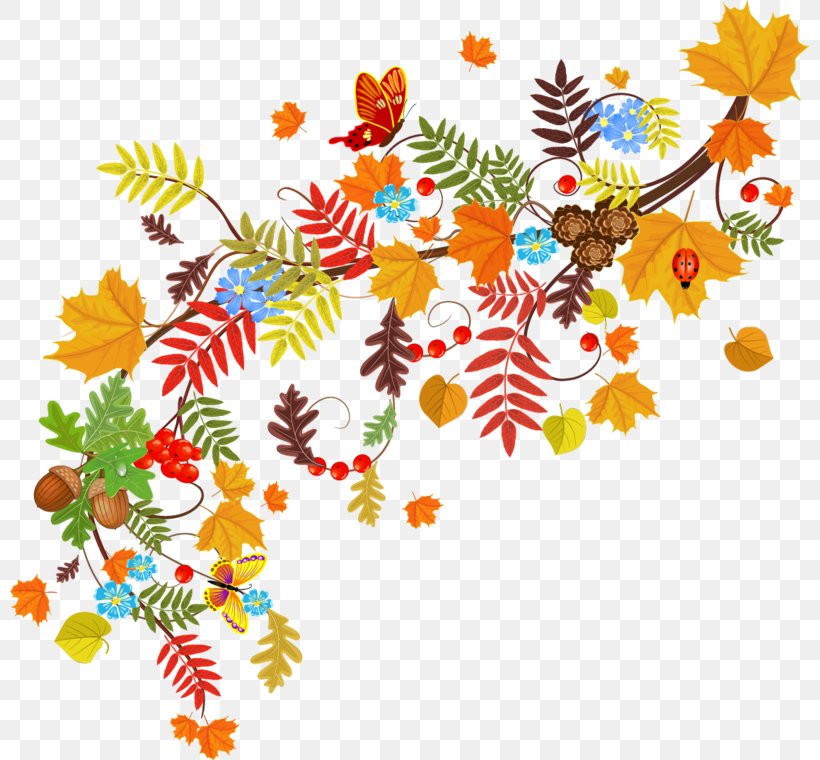 Autumn Branch, PNG, 800x760px, Royaltyfree, Autumn, Branch, Color, Leaf Download Free