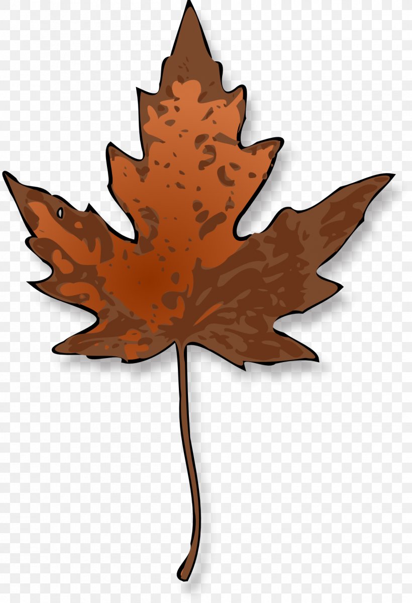 Sugar Maple Maple Leaf Clip Art, PNG, 1313x1920px, Sugar Maple, Autumn, Autumn Leaf Color, Drawing, Leaf Download Free