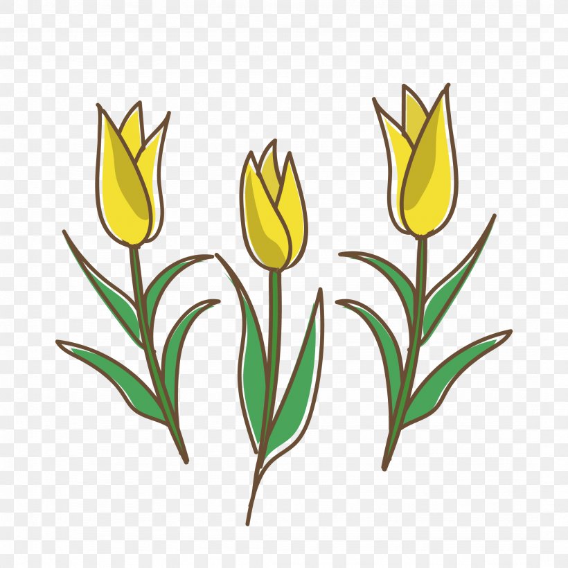 Tulip Yellow White Red, PNG, 2154x2154px, Tulip, Color, Cut Flowers, Flower, Flowering Plant Download Free