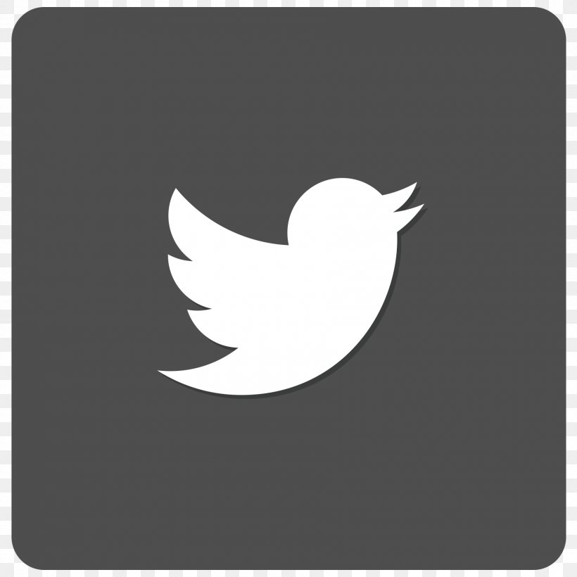 Social Media Download, PNG, 1800x1800px, Social Media, Beak, Bird, Black And White, Crescent Download Free