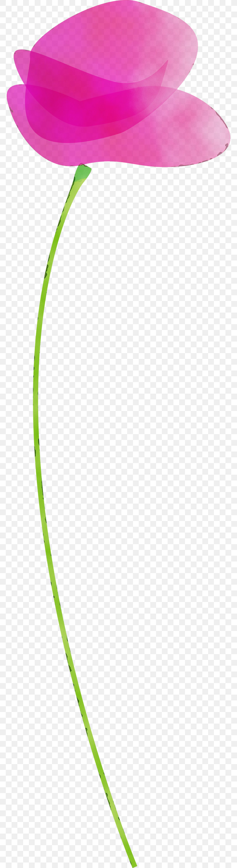 Green Leaf Line Grass Plant, PNG, 774x2999px, Poppy, Flower, Grass, Green, Leaf Download Free