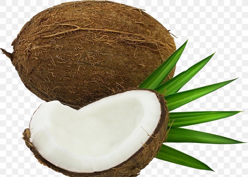 Coconut Water, PNG, 2485x1784px, Coconut Water, Archive File, Coconut, Photoscape, Superfood Download Free