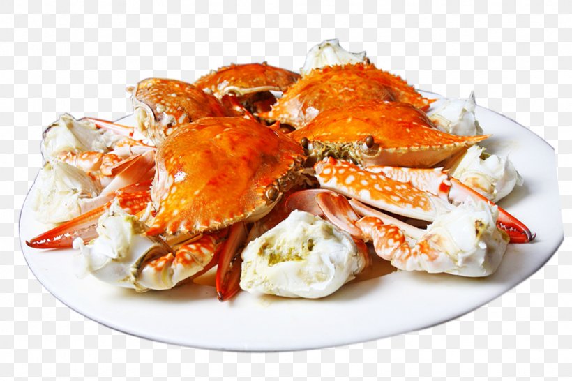 Dungeness Crab Chinese Mitten Crab, PNG, 1024x683px, Crab, Animal Source Foods, Chinese Mitten Crab, Crab Meat, Cuisine Download Free