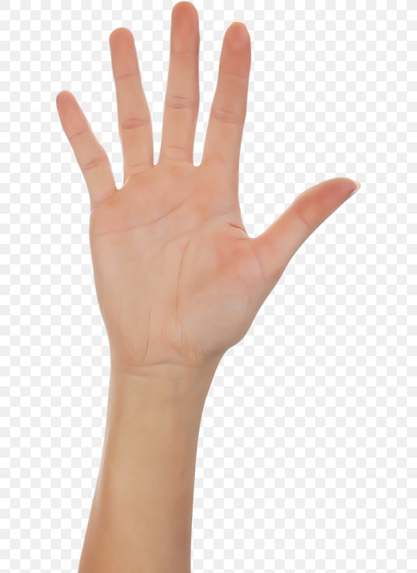 Finger Hand Skin Wrist Gesture, PNG, 600x1127px, Finger, Arm, Gesture, Hand, Joint Download Free