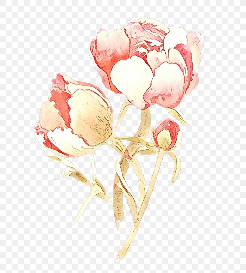 Bouquet Of Flowers Drawing, PNG, 700x911px, Garden Roses, Cabbage Rose, Chinese Peony, Common Peony, Cut Flowers Download Free