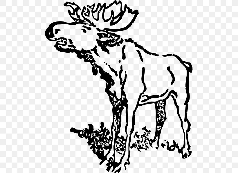 Moose Drawing Black And White Clip Art, PNG, 510x596px, Moose, Antler, Art, Black And White, Branch Download Free