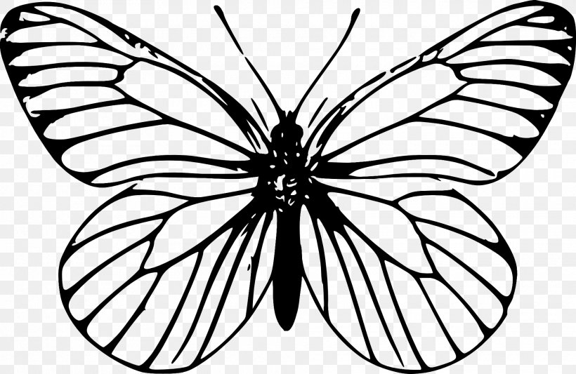 Butterfly Insect Outline Drawing Clip Art, PNG, 1920x1250px, Butterfly, Animal, Arthropod, Black And White, Brush Footed Butterfly Download Free