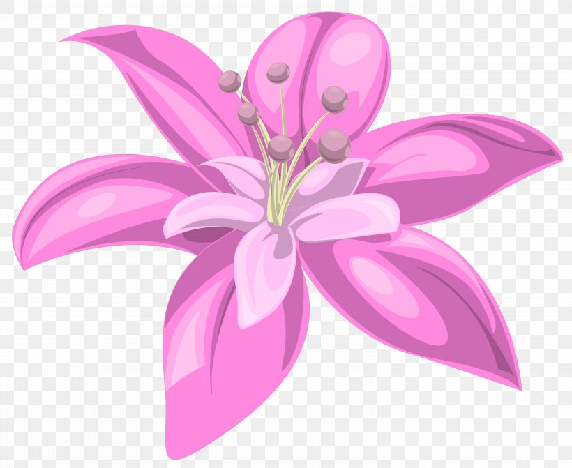 Flower Pink Lilium Clip Art, PNG, 6266x5132px, Flower, Cut Flowers, Flora, Flowering Plant, Herbaceous Plant Download Free